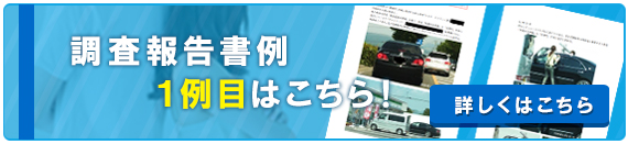 調査報告書例　1例目はこちら