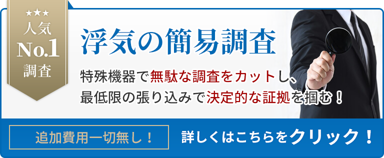 人気NO.1調査　浮気の簡易調査